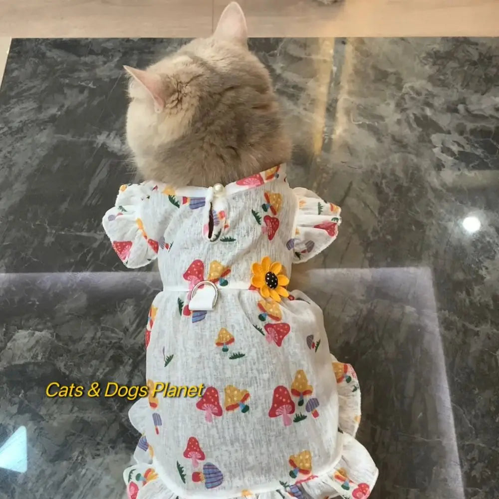 Cute cat Princess Dresses
