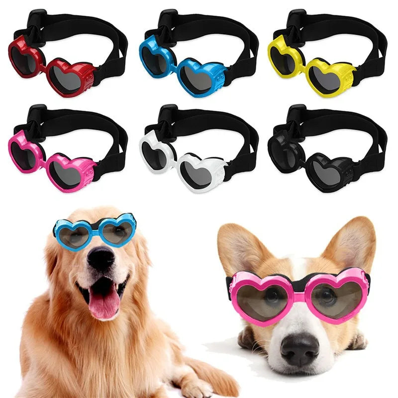 Pet Glasses Accessories
