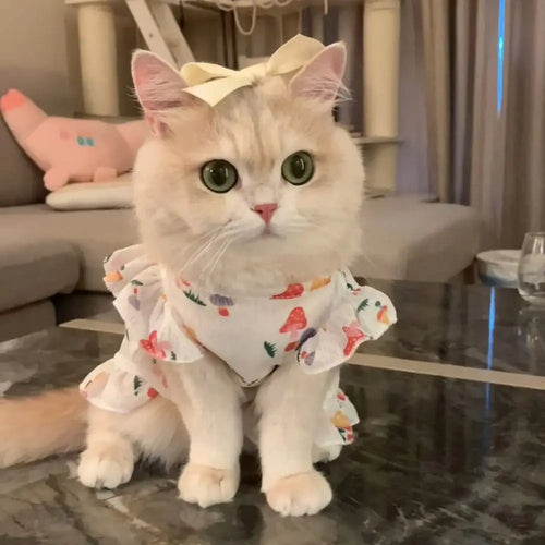 Cute cat Princess Dresses