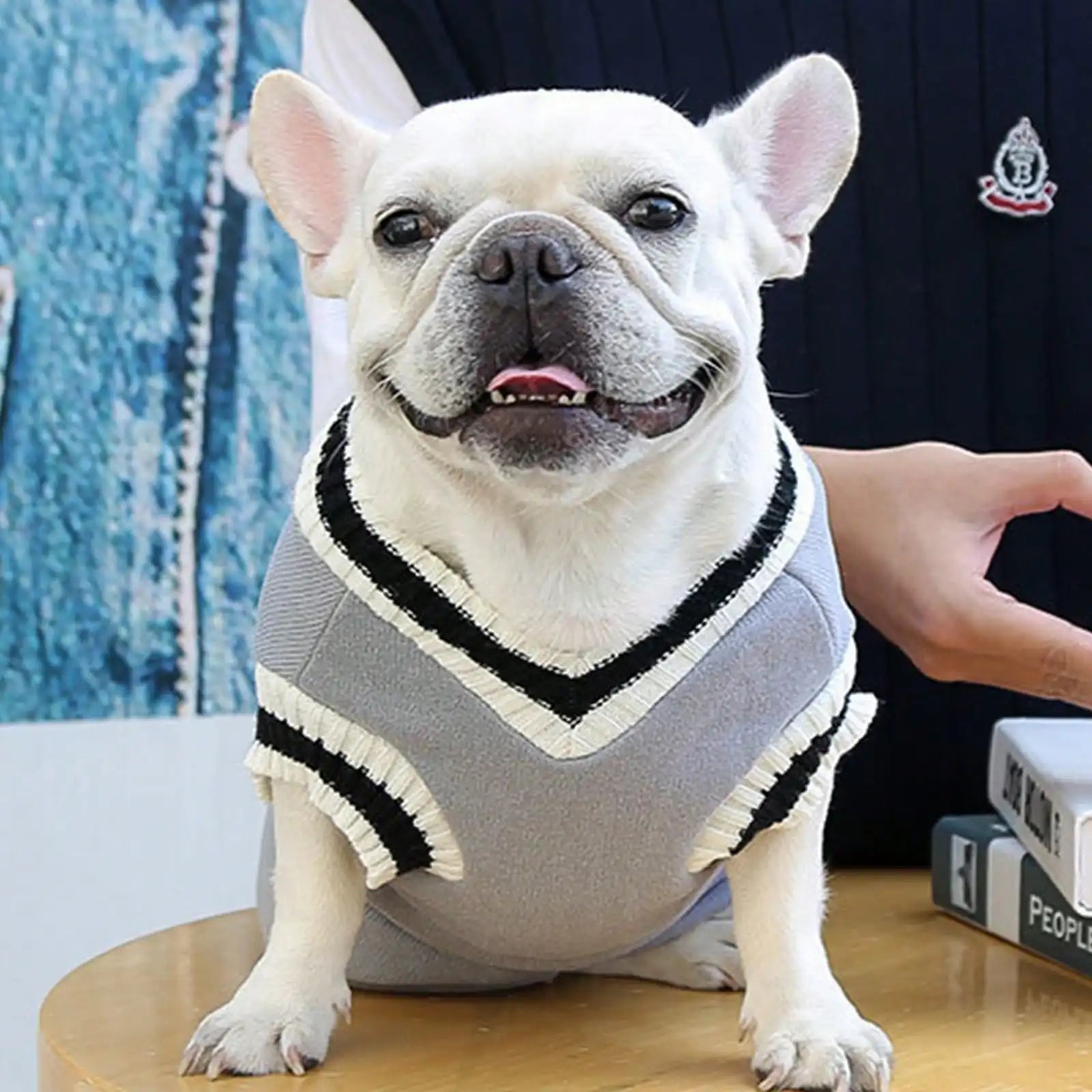 pet dog and cat clothing vest