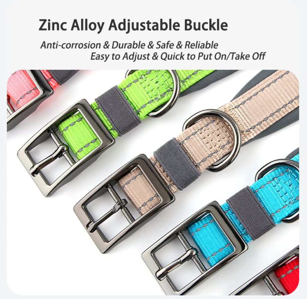 Collar for Large Dogs