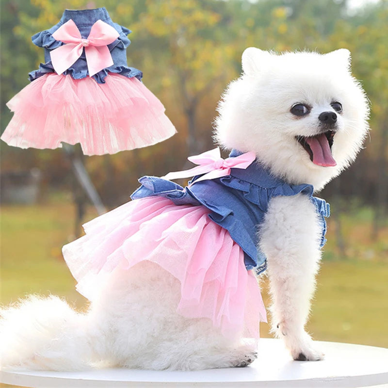 Small Dogs Dress