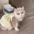 Cute cat Princess Dresses