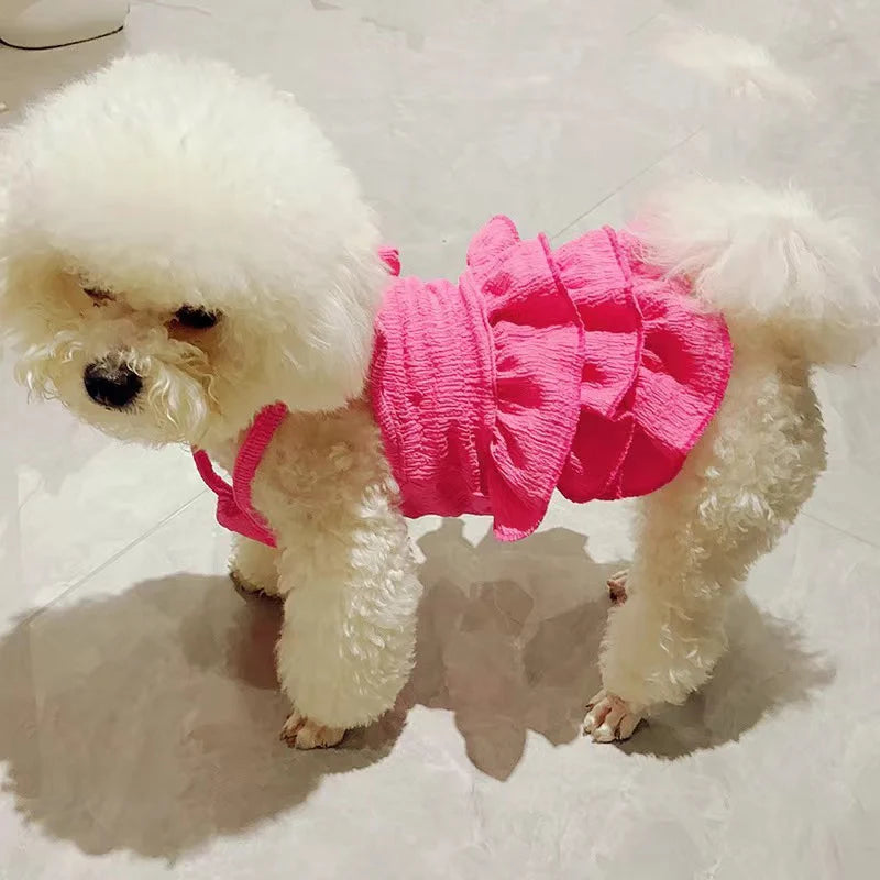 Summer Pet Clothes