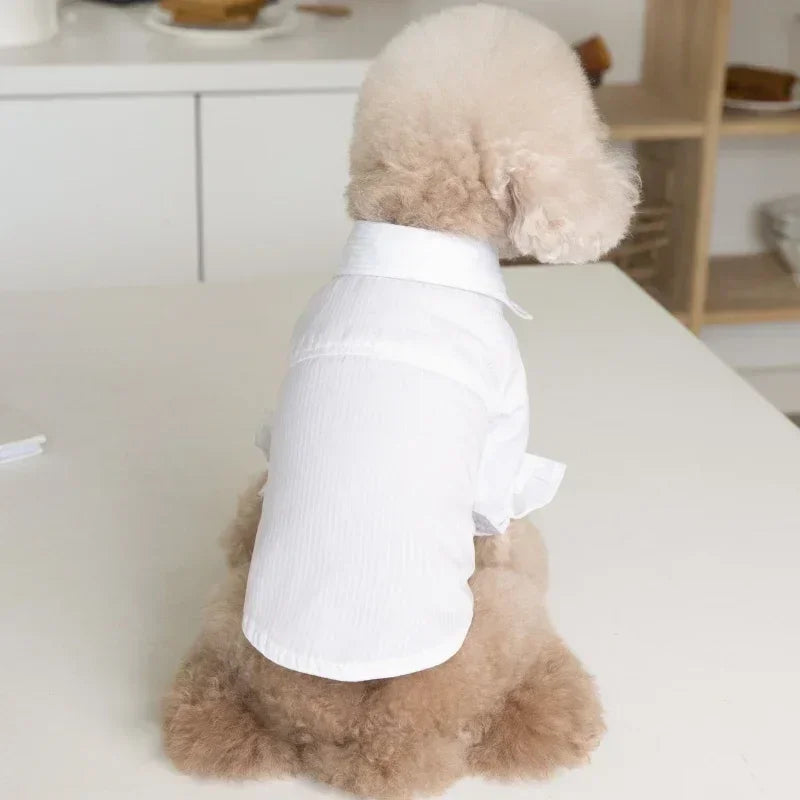Cat Dog Clothes