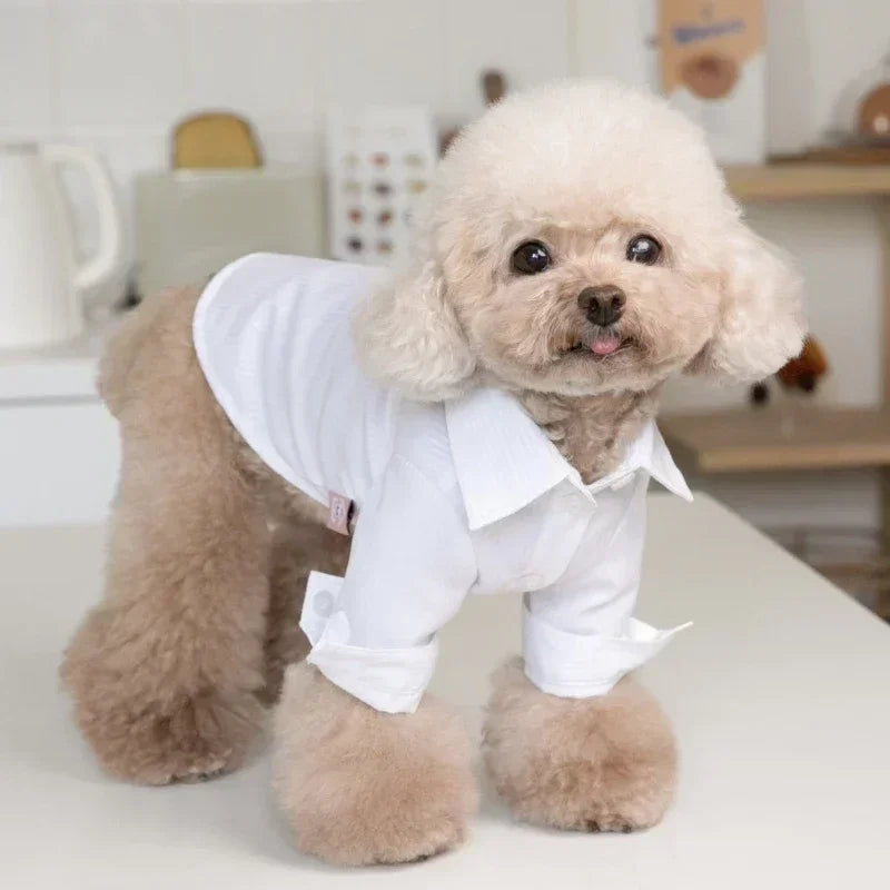 Cat Dog Clothes