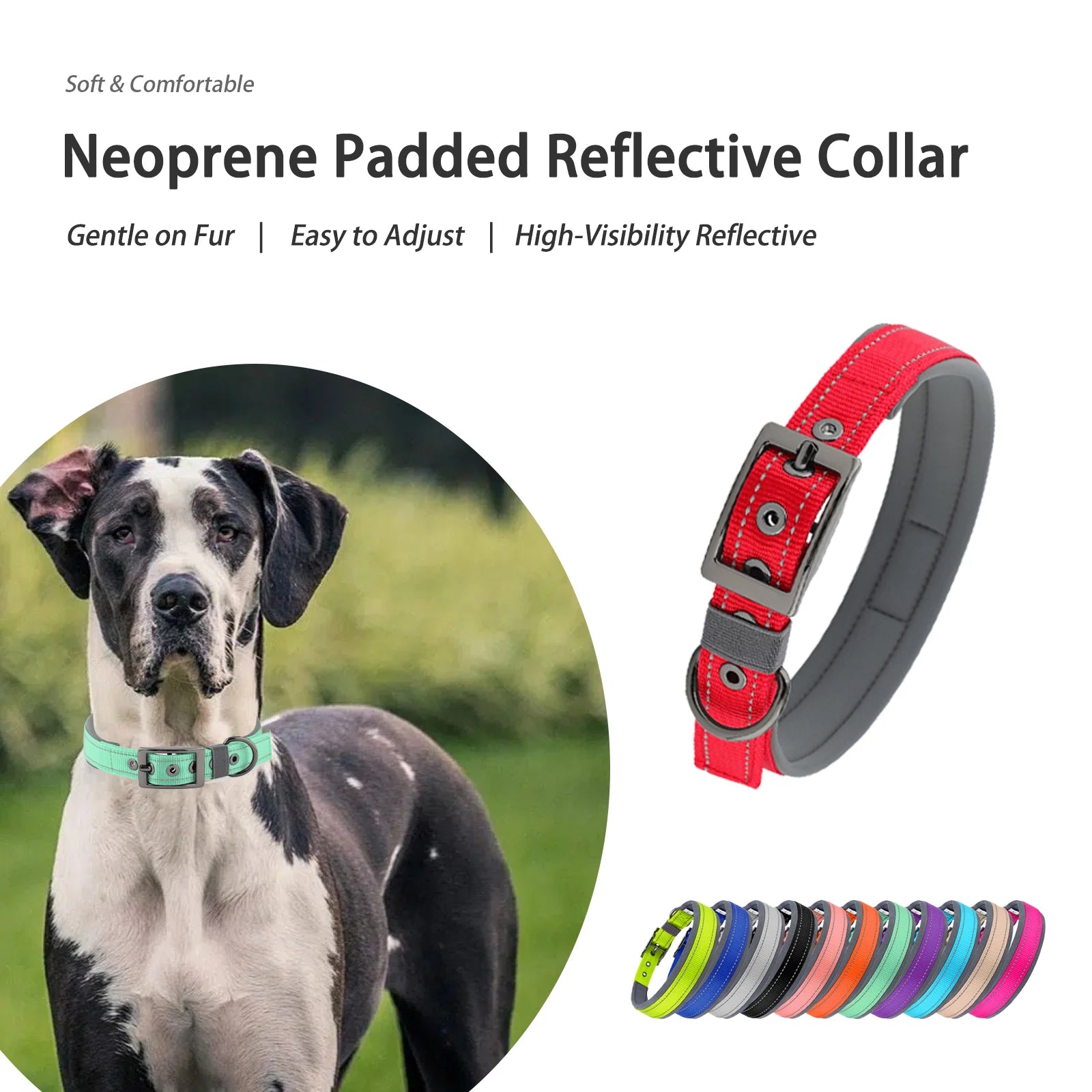 Collar for Large Dogs