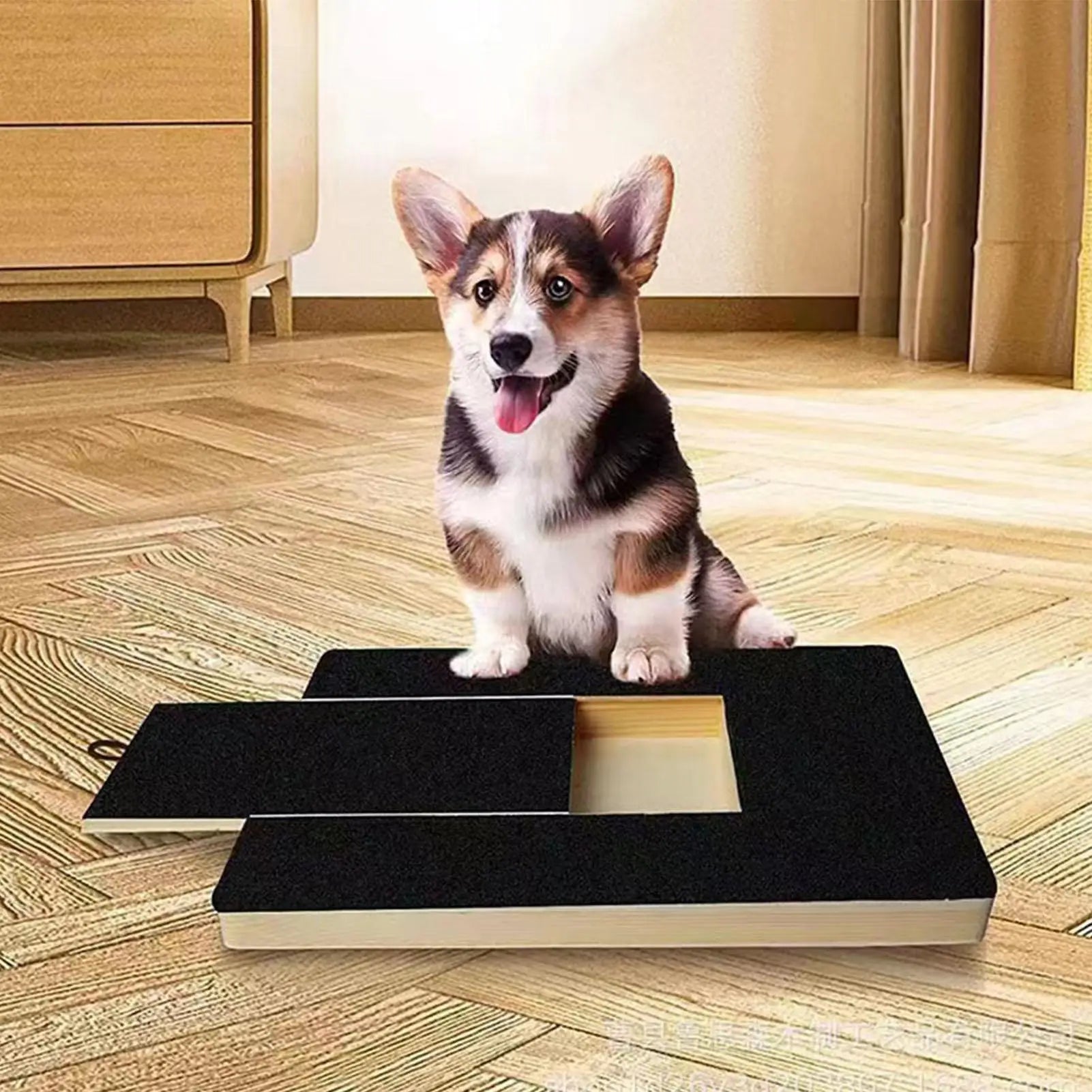 Scratcher Toy Safe Pet