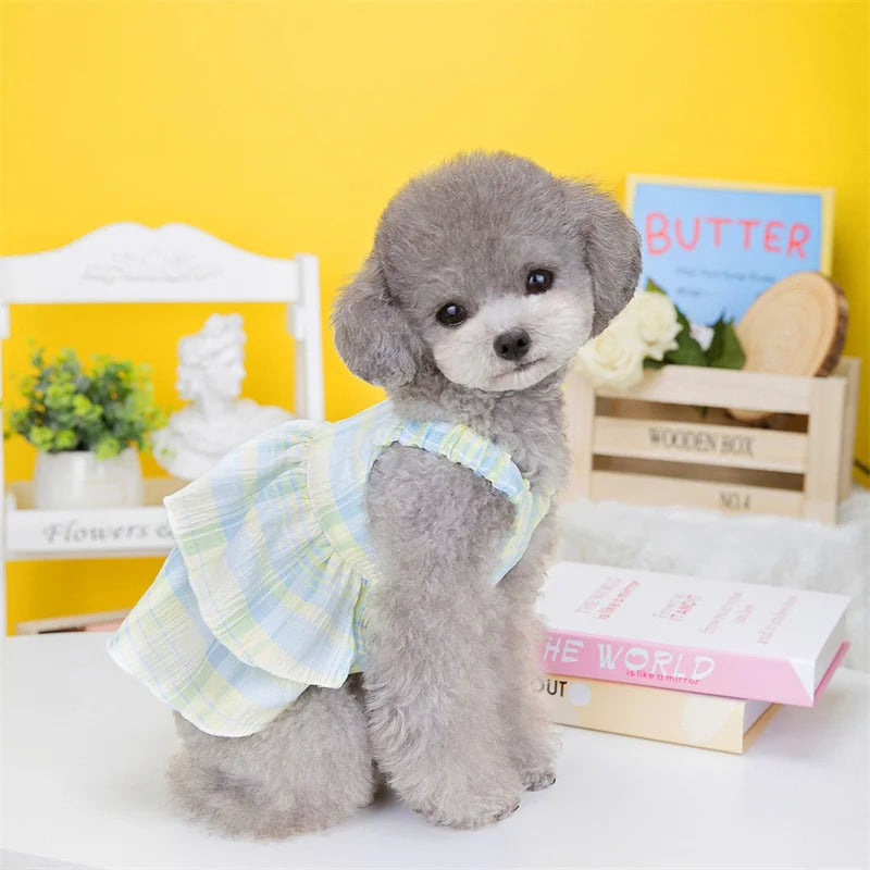Summer Pet Clothes