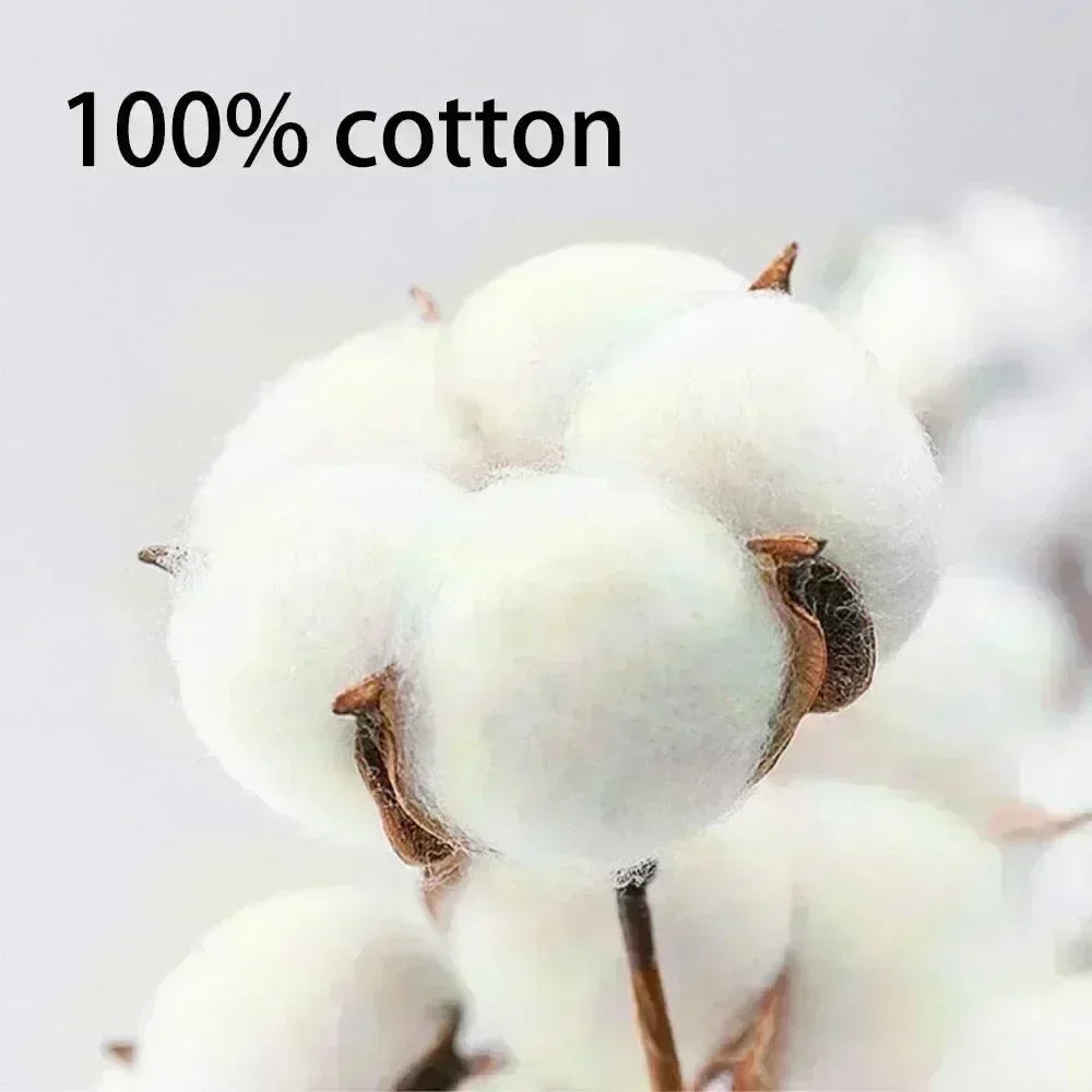 Summer Only Fans Mens Clothing Men's Women Fashion Short Sleeve Clothing Print Cotton Tee Shirts Round NeckT-shirt Regular Style