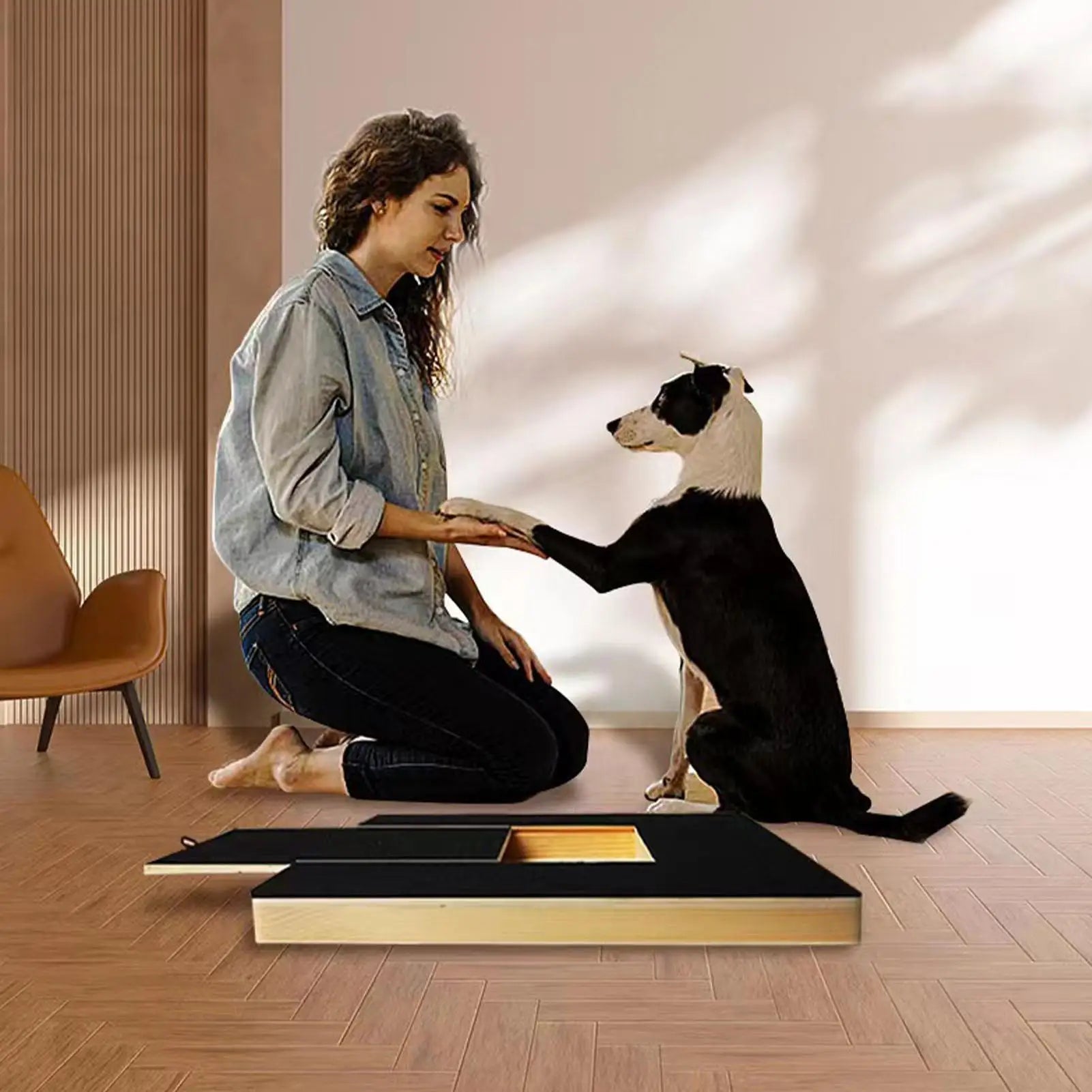 Scratcher Toy Safe Pet